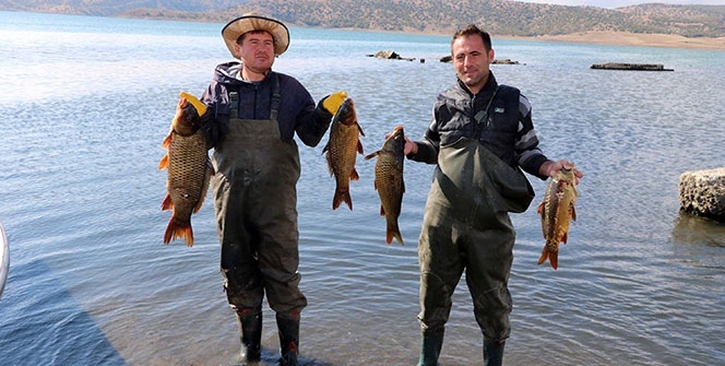 Denizi olmayan o ilimizden Avrupa'ya balık ihracatı!
