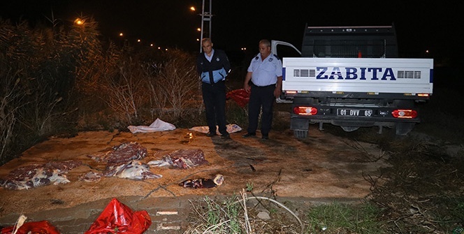 Sağlık düşmanlarına gece yarısı baskın