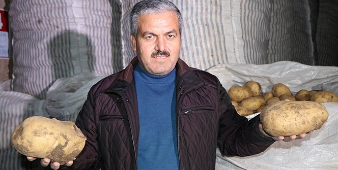 Sahibi bile inanamıyor! Görenler hayrete düşüyor