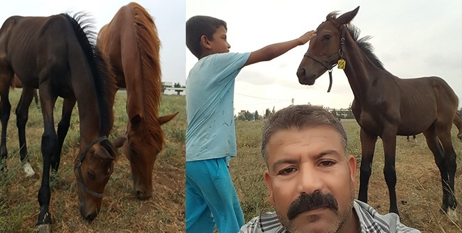 Yavrusu 50 bin TL kendisi 400 bin TL |Her yerde aranıyor