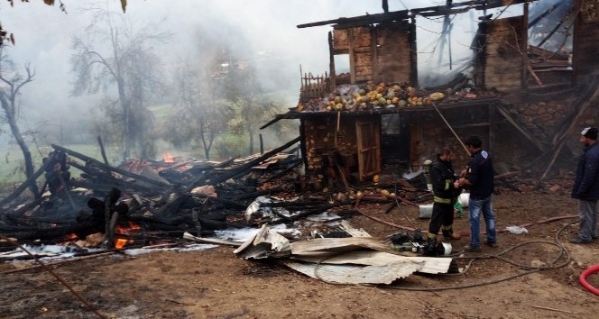 Pekmez kazanından sıçrayan ateş 2 ev 1 ağılı küle çevirdi