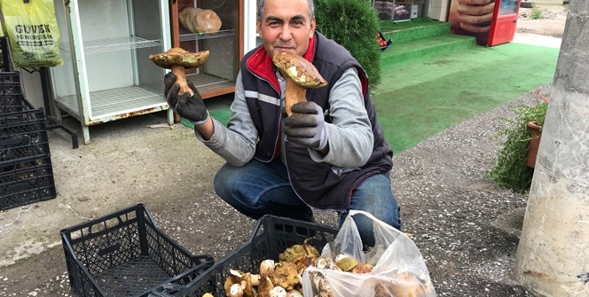 15 günde 5 bin lira... Köylüler oraya akın etti