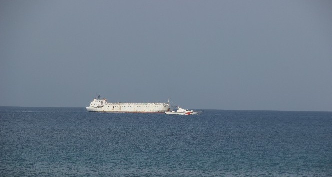 İzmir’den gelen angus yüklü gemi körfez açıklarında bekletiliyor