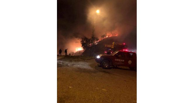 Hatay’da orman yangını : 1 hektar alan zarar gördü
