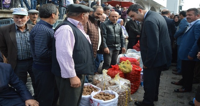 Niksar’da “5. Altın ceviz yarışması” sonuçlandı