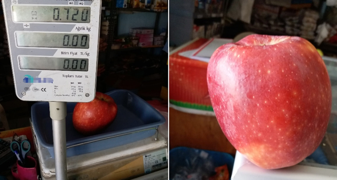 Bir elma tam 720 gram geldi