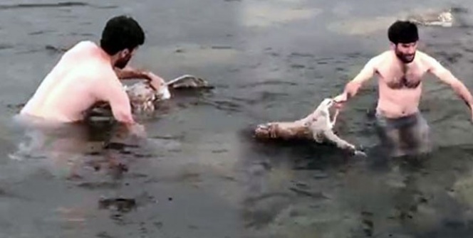 Buz gibi suya dalıp çıkardı! 'Görünce şoka uğradım'