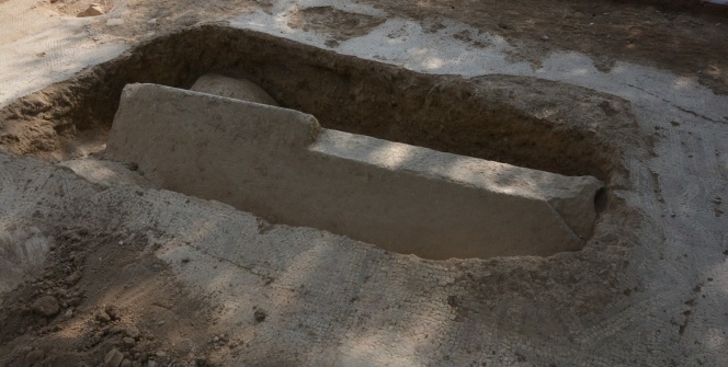 Zeytin tarlasında bulundu! Detayları bir bir ortaya çıktı