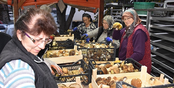 Küçük köye büyük gelir kaynağı