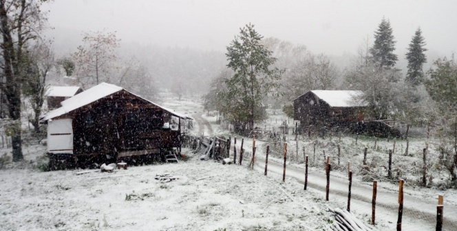 Ve mevsimin ilk karı yağmaya başladı! İşte yurttan kar manzaraları