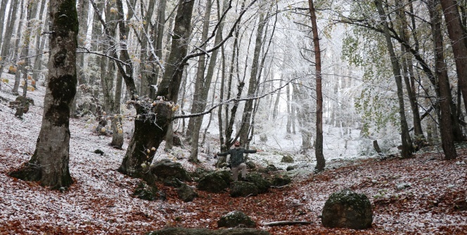 Abant Tabiat Parkı kar yağışıyla beyazlara büründü