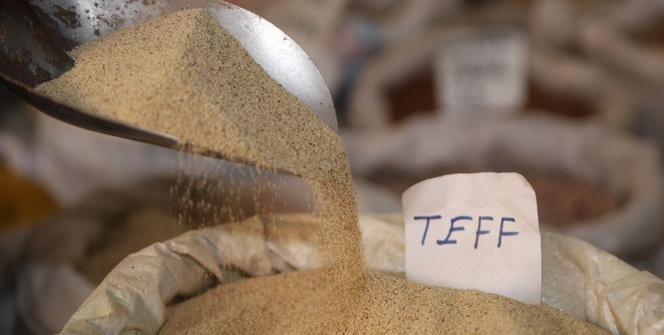 Dünyanın en küçük tahılının unu üretildi