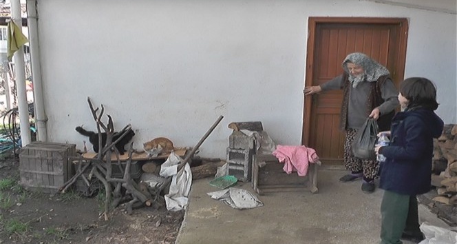 (Özel haber) Emekli maaşıyla yüzlerce kediye bakıyor