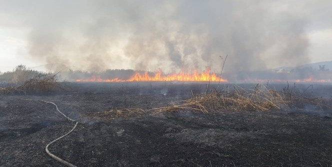 Kuşların göç yolundaki sazlık yangını sürüyor