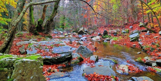 Kazdağları'nda renk cümbüşü
