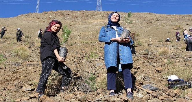 Erzincan’da gençlerin eliyle 4 bin fidan toprakla buluştu