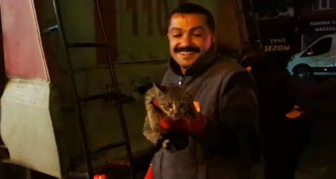 Tatvan’da kedi kurtarma operasyonu