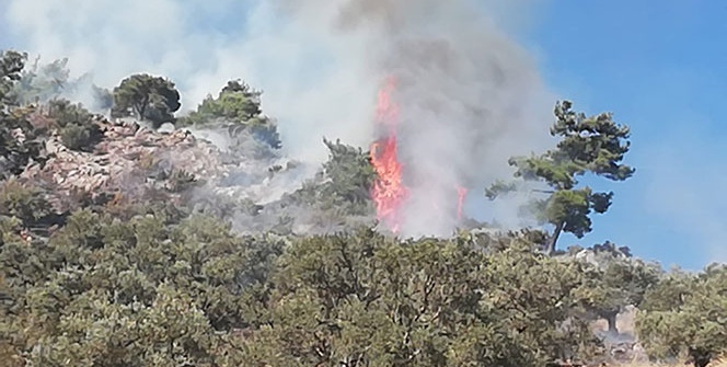 Piknikçilerin ateşi faciaya neden oldu
