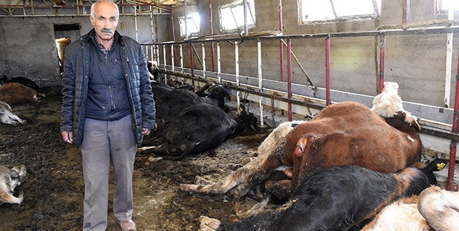 Şoke eden manzara! Görünce dili tutuldu