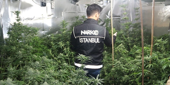Beykoz’da dev uyuşturucu operasyonu