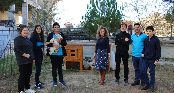 Tavuklarından ayrılamayınca okula kümes yapıldı