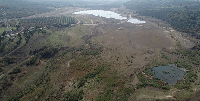 40 yıllık gölet kurudu! Vatandaşlar panik içinde