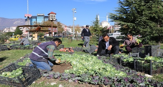 Safranbolu’da park ve bahçeler renkleniyor