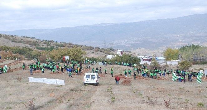 Vali Balcı, göreve başladığı ilk gün fidan dikti