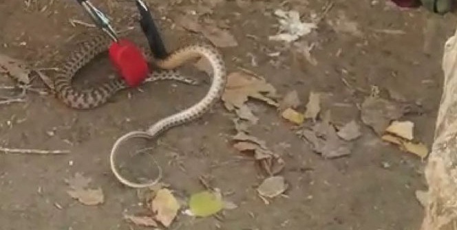 Okulda büyük panik!