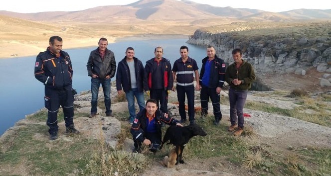 Kaya yarığına sıkışan köpek ve yavrusunu AFAD ekipleri kurtardı