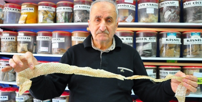 Canlı yakalanıyor! Gören hemen alıyor! Ekmeğin içine bir parça koyup yiyen...