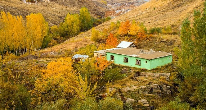 (Özel) Bitlis’te seyrine doyumsuz sonbahar manzaraları