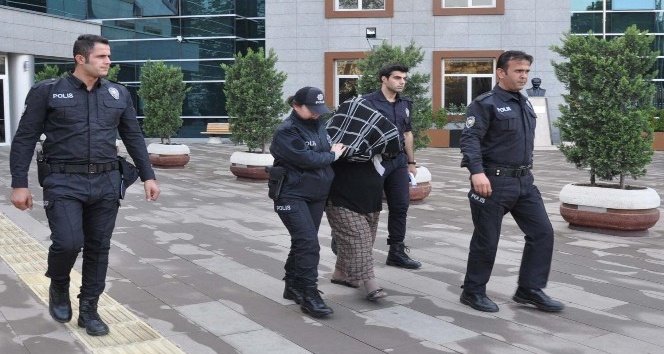 Kaçak kreşin bakıcısı tutuklandı dernek başkanı adli kontrol şartıyla serbest kaldı