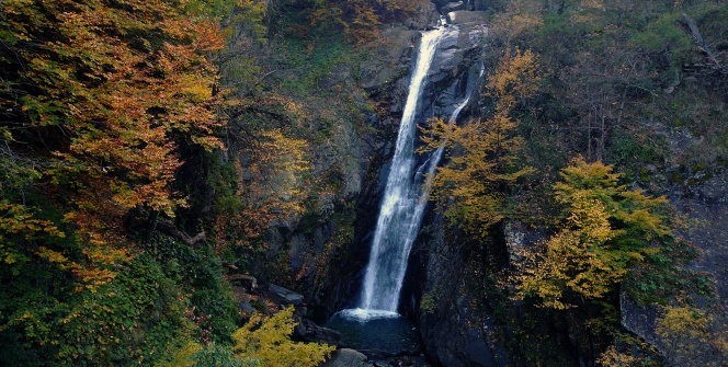 Şehrin içinde çağlayan güzellik