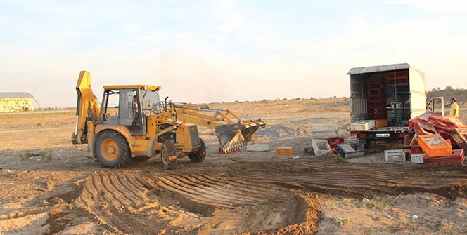 Korkunç iddia! Canlı canlı çukurlara doldurup...