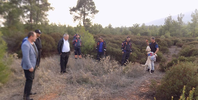 Bir il seferber oldu! Herkes onu arıyor