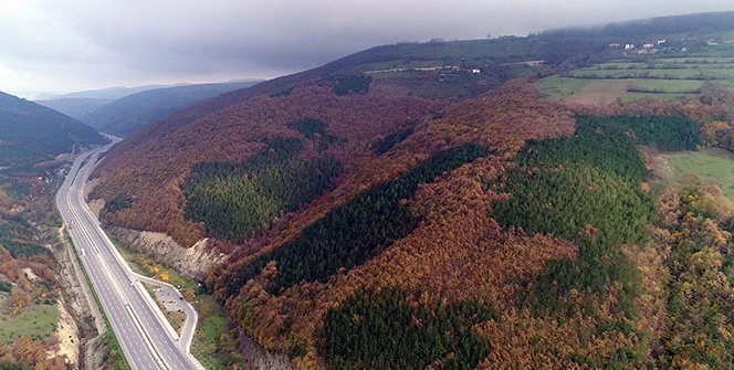 Karadeniz'de sonbaharda renk cümbüşü