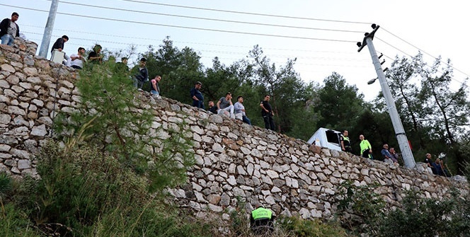 Sesi duyar duymaz oraya koştular!