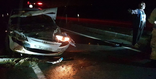 Otomobil sürüye daldı! Onlarca hayvan telef oldu