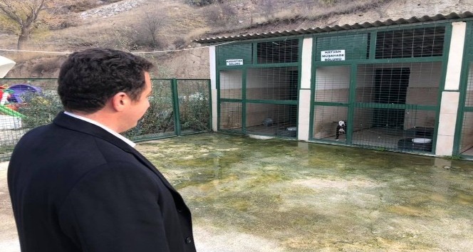 Başkan Bakıcı hayvan barınağını ziyaret etti