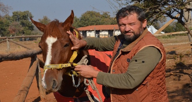 Kamçıyla vurulan atın sahibi, ata vuran çalışanını işten çıkardı