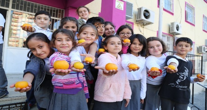 Öğrenciler mandalina ile festivale davet edildi