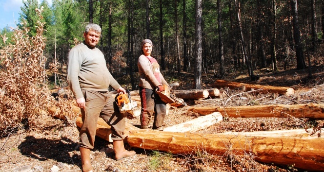 Orman işçisi ailelerin atalarından kalma zorlu hayat mücadelesi