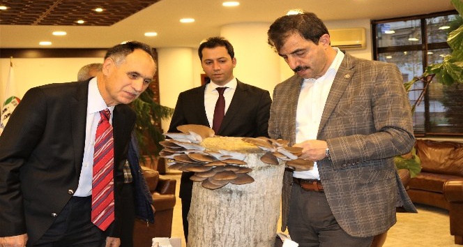 İstiridye mantarı satışı için Başkan Türkmen’den yer talep ettiler