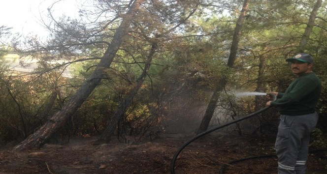 Nurdağı’nda orman yangını