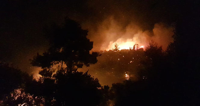 Antalya&#039;da 4 mahalleyi tehdit eden orman yangını