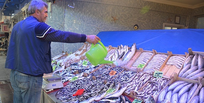 Tanesi 10 lira, kapış kapış gidiyor