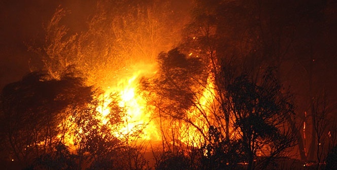 Alev alev yandı! 4 mahalleyi tehdit etti, evler boşaltıldı