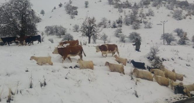 Tunceli’nin ilçelerinde kar etkili oldu