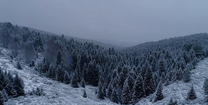 Uludağ beyaz gelinliğini giydi!